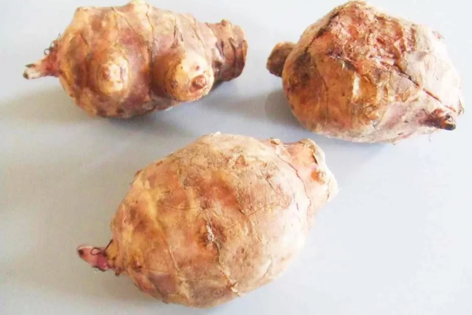 topinambur jak przygotować