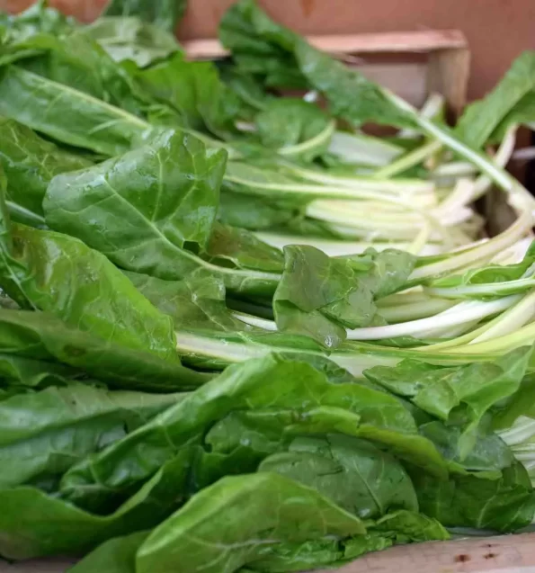 przepis na buraka liściowego