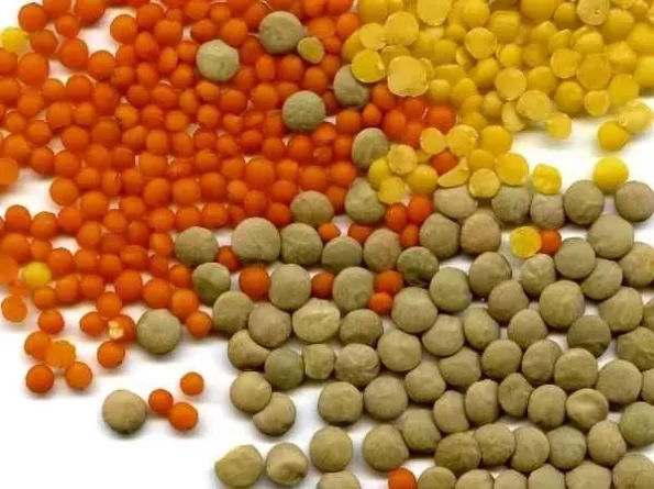 soczewica najzdrowszym produktem tureckiej kuchni