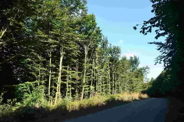 park naturalny w cilingoz