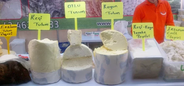 rodzaje tulumów w Turcji