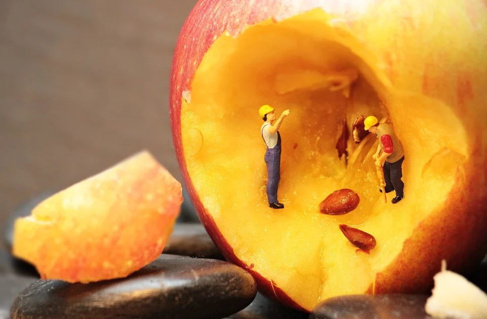 Wyrażanie konieczności czyli gereklik kipi 1