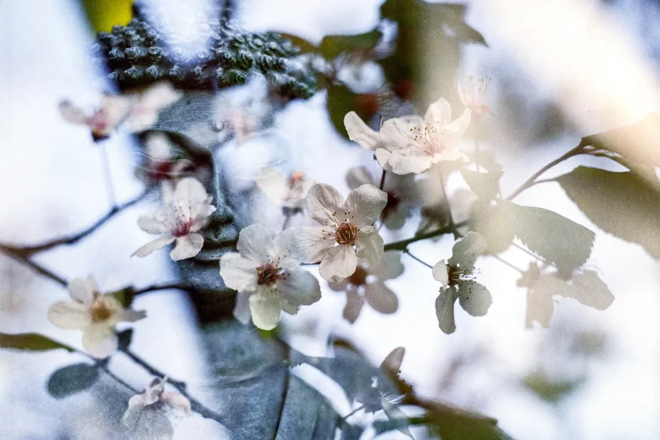 Czas teraźniejszy w języku tureckim.