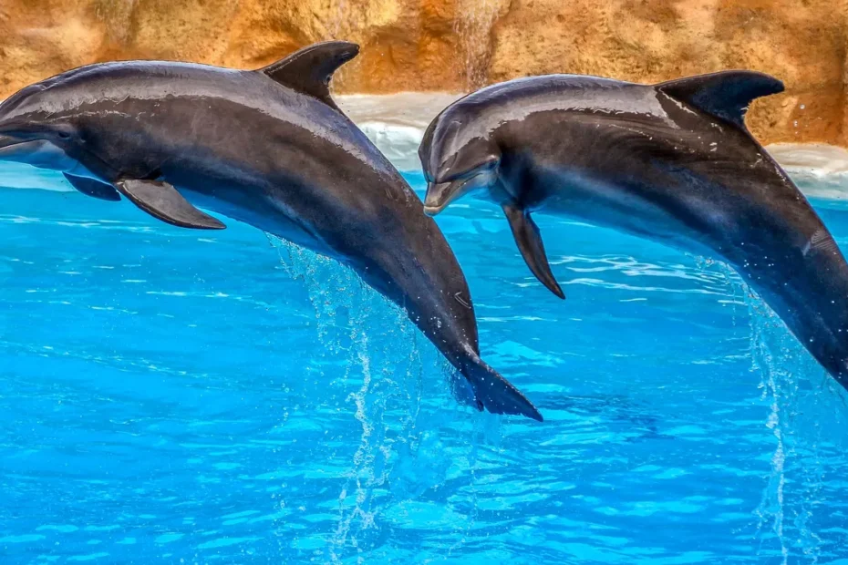 Końcówka -erek w języku tureckim.